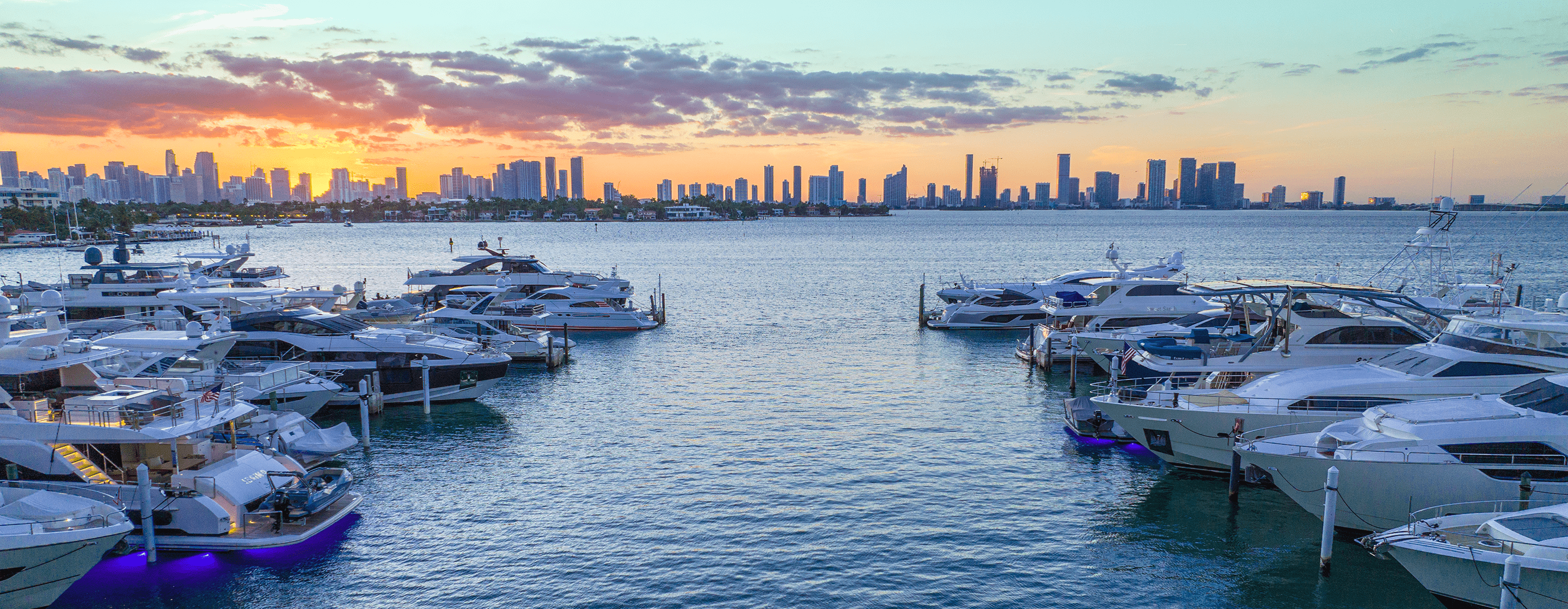 docked boats and skyline